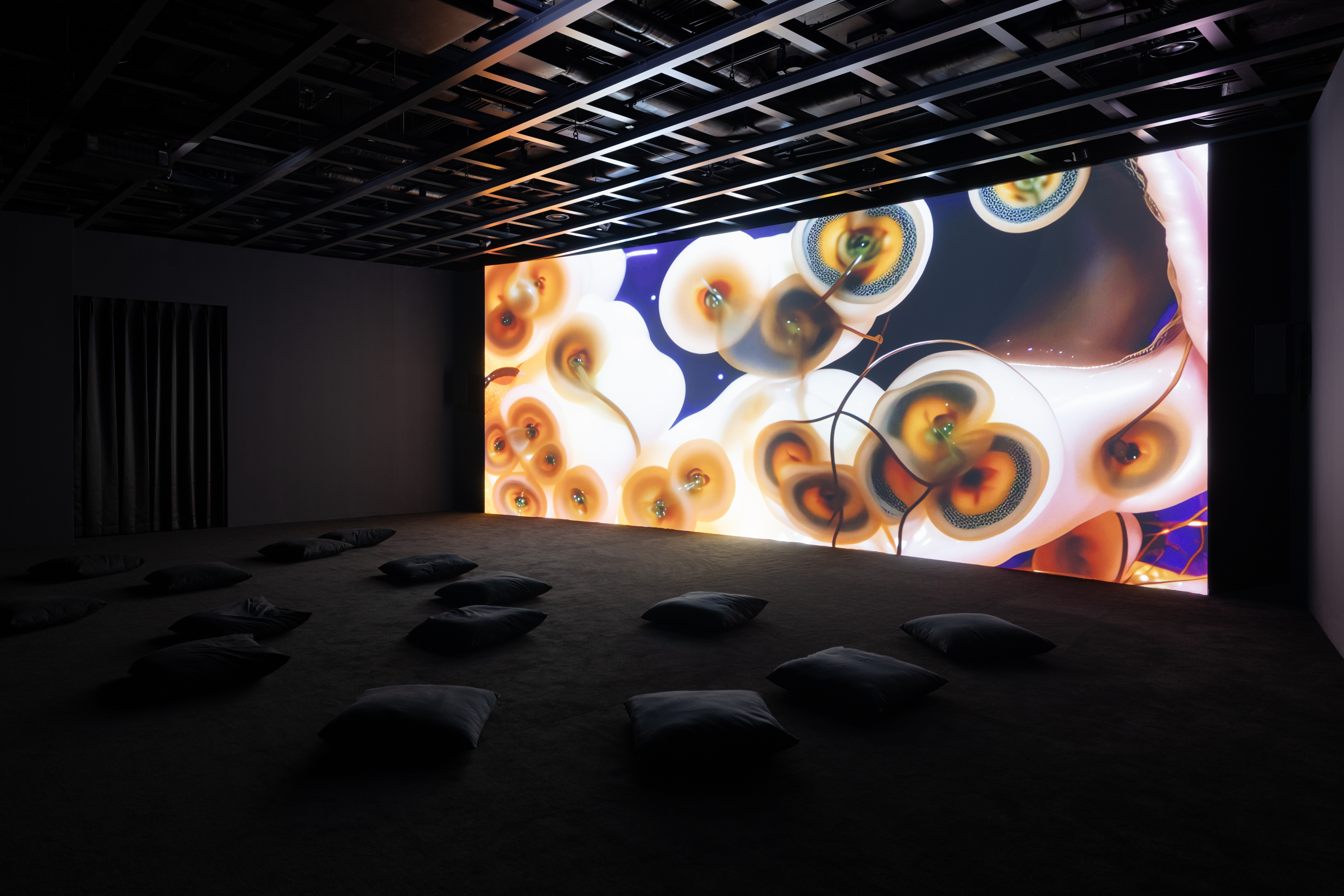 There Exists Another Evolution but in This One | Anicka Yi